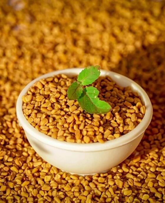 Fenugreek seeds 