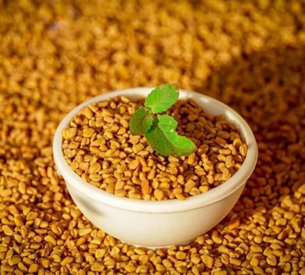 Fenugreek seeds 