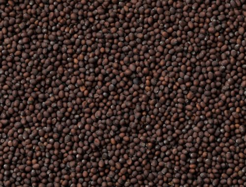 AdobeStock_335043992_Preview