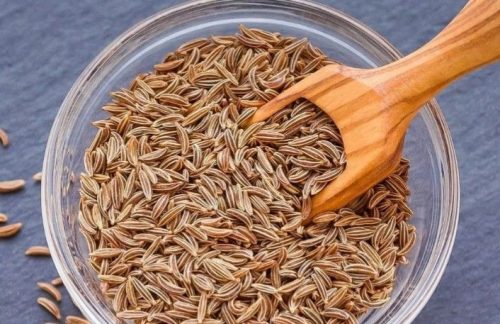 WhatsApp Image 2025-10-14 at 10.25.17 AM