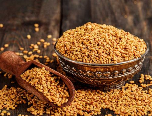 fenugreek-seed4